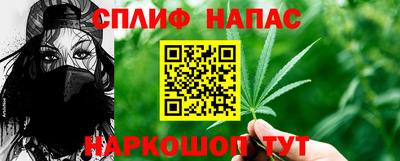 МДПВ Партизанск